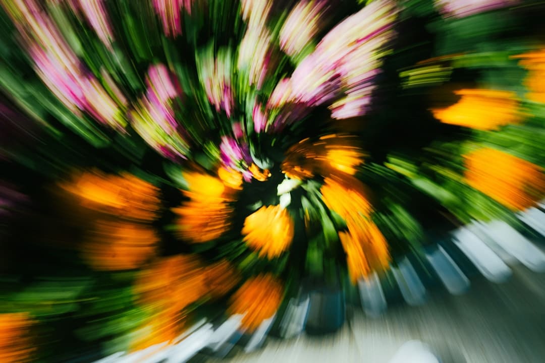 免费敞开！88件国家一级文物、250余件/套收藏文物荟萃成都